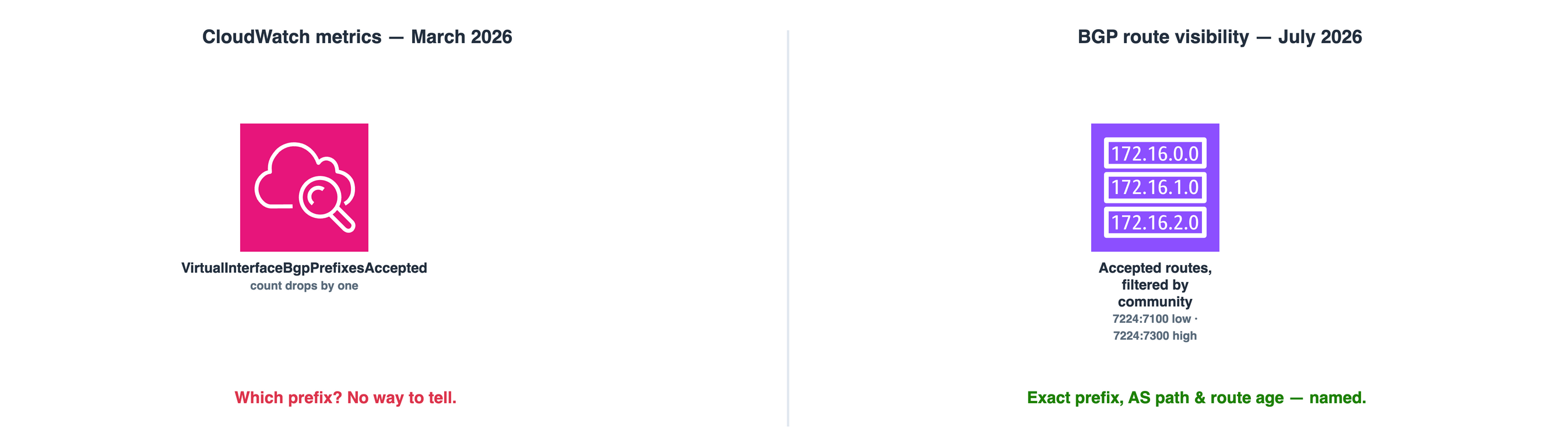 CloudWatch's prefix counters versus BGP route visibility, side by side: a counter drop confirms something changed but never says what, while the Accepted and Advertised route tables, filtered by community, name the specific prefix and the AS path it's carrying